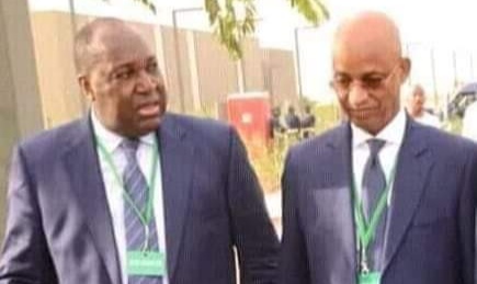 CEDEAO-GUINÉE-AES : Les amalgames contre-productifs d'Elhadj Cellou Dalein Diallo de la Guinée !