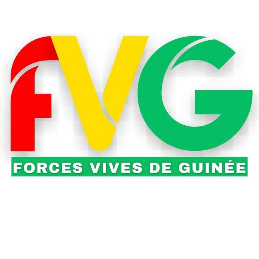 Guinée : les Forces vives dénoncent les mesures contre France 24 et Jeune Afrique