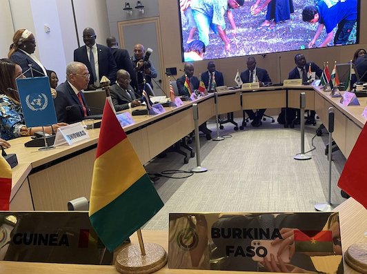 New York : La Conférence des Chefs d'Etat de la CEDEAO inflige de lourdes sanctions à la junte au pouvoir en Guinée 