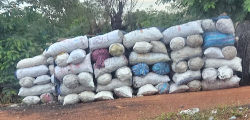 Réchauffement climatique en Guinée : voyage au cœur d’un désastre écologique silencieux.
